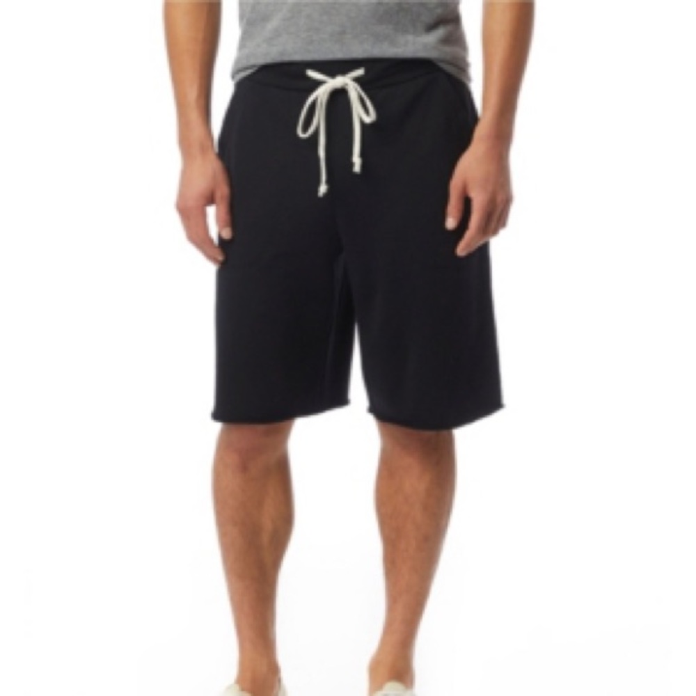 new • alternative victory burnout terry shorts